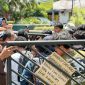 Foto. Istimewa