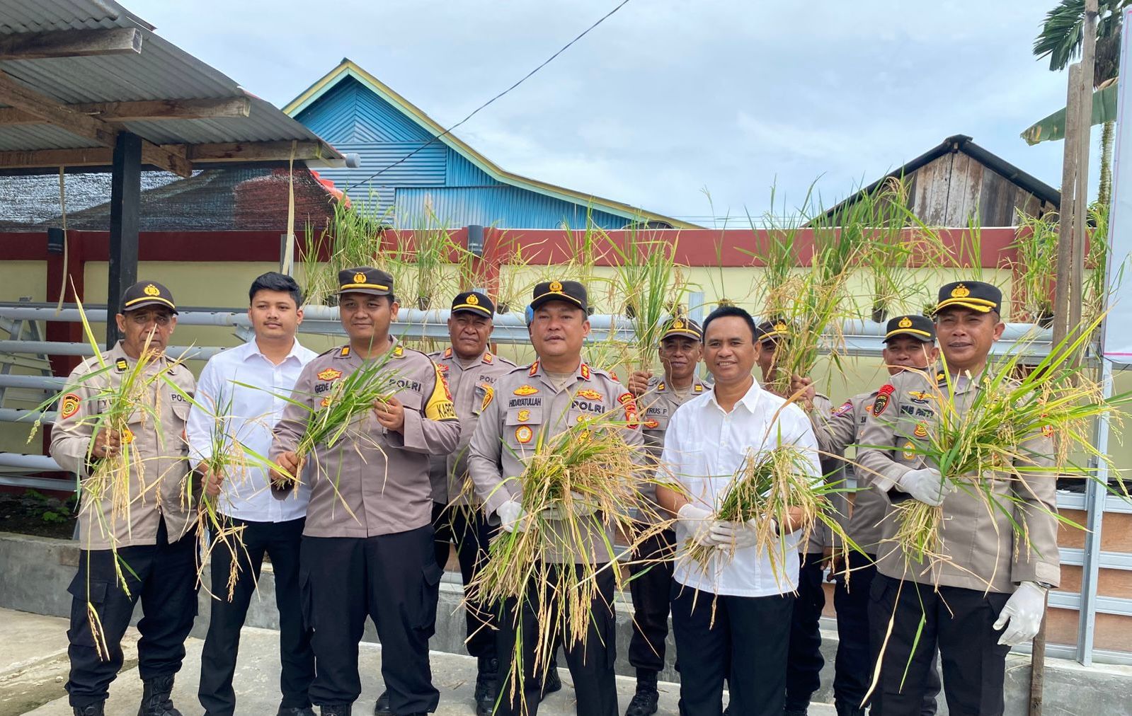 Polres Haltim Panen Raya Perdana Aquaponik