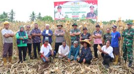 Foto. Istimewa