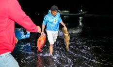 Obi Fishing Tournament 2025: Tangkapan Ikan Melimpah, Produktivitas Perairan Kawasi Terjaga