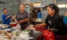 Kepedulian Harita Nickel di Tengah Cuaca Ekstrem: Bantu Pangan, Air Bersih, dan Layanan Kesehatan