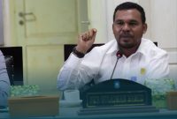 Anggota DPRD Halut Fraksi Nasdem, Nursulaiman Hamid.(foto/istimewa).