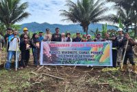 Bumdes Makomote melakukan penanaman jagung tongkol.(foto/calo)