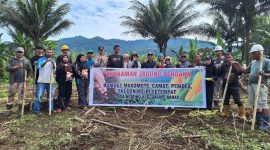 Bumdes Makomote melakukan penanaman jagung tongkol.(foto/calo)