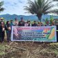 Bumdes Makomote melakukan penanaman jagung tongkol.(foto/calo)