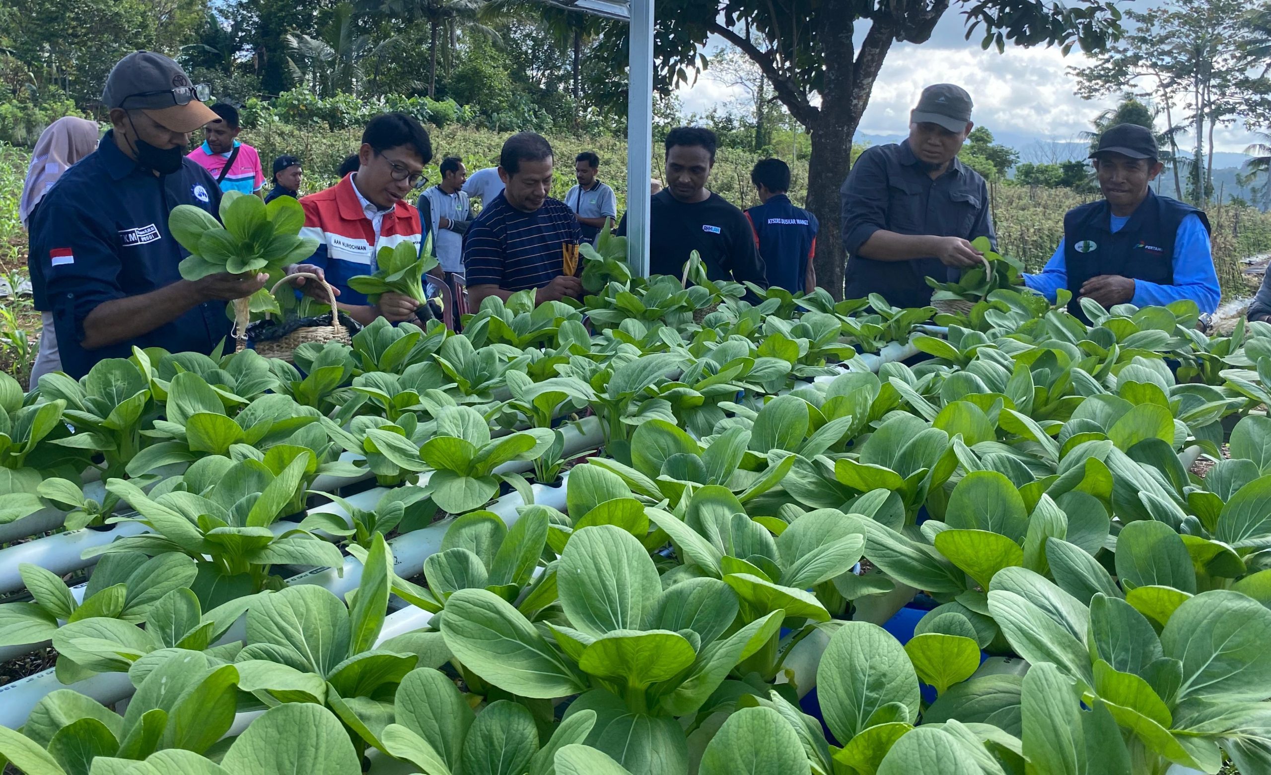 Wayame Hydro Bae, Inovasi CSR Pertamina Hadirkan Air Bersih Dan Dongkrak Ekonomi Warga Wayame