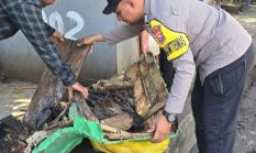 Bhabinkamtibmas Dan Lurah Kalumpang Gelar Aksi Bersih Trotoar Jalan Utama