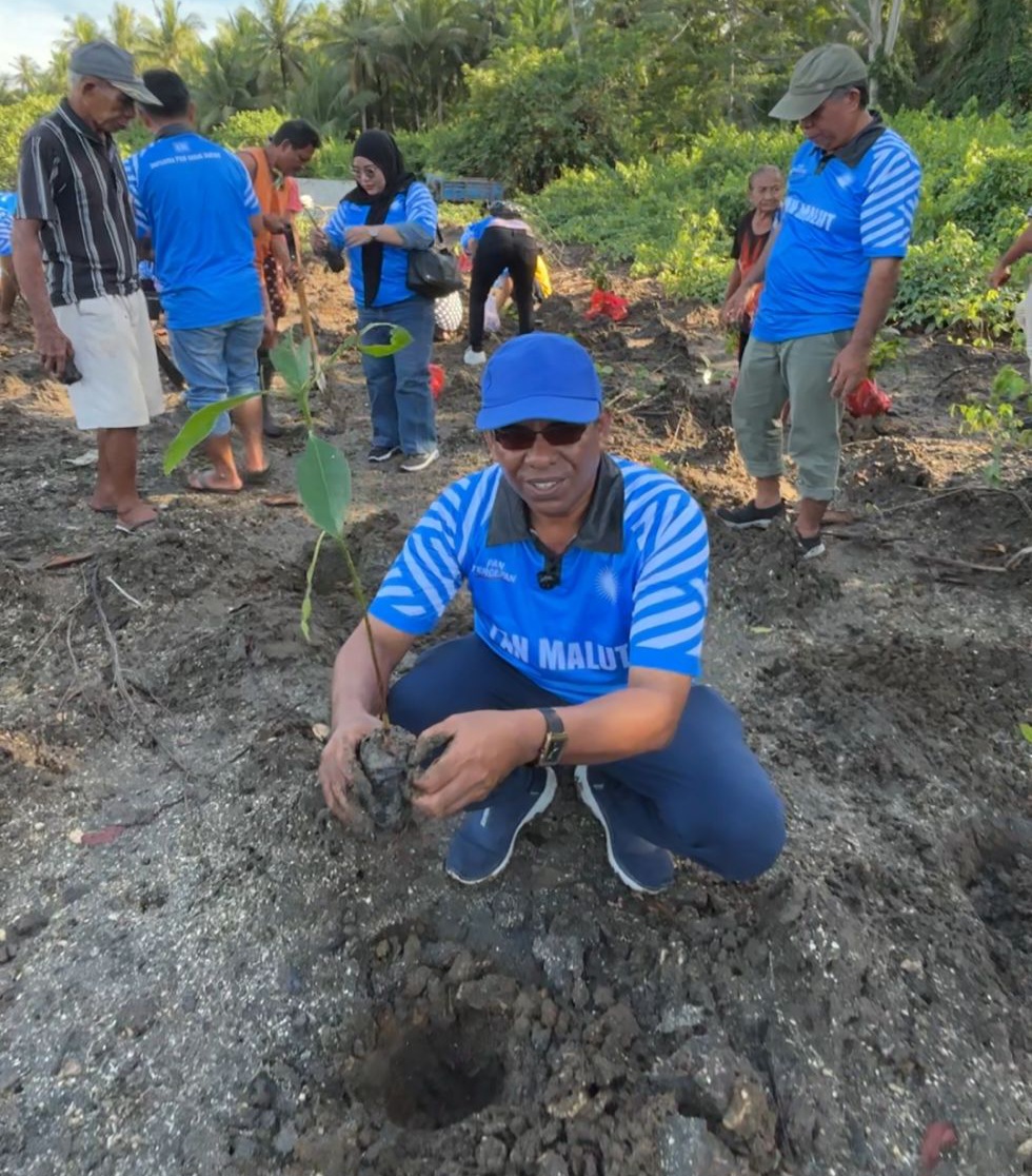 Menyambut HUT PAN Ke-27, DPW PAN Malut Gandeng DLH Halut Penanaman 500 Bibit Mangrove