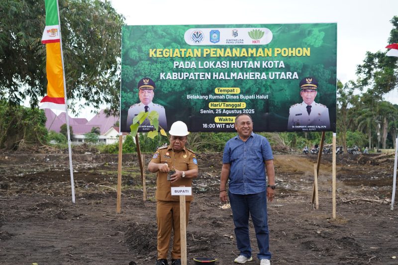Bupati Halut dan unsur Forkopimda mencanangkan pohon balsa. 
