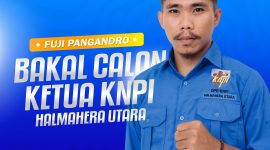Bakal Calon Ketua KNPI Halut, Fuji Pangandro