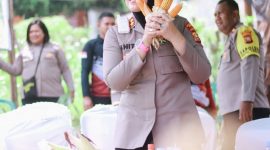 Polres Kota Ternate melaksanakan panen raya jagung secara serentak.(foto/humas) 