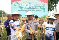 Kapolda Malut, Irjen Pol. Waris Agono bersama Wakil Gubernur Malut, Sarbin Sehe panen raya jagung serentak.(foto/humas)