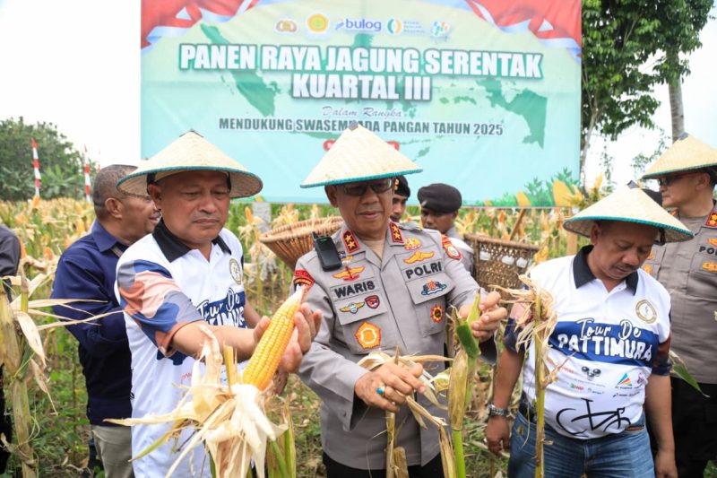 Kapolda Malut, Irjen Pol. Waris Agono bersama Wakil Gubernur Malut, Sarbin Sehe panen raya jagung serentak.(foto/humas)