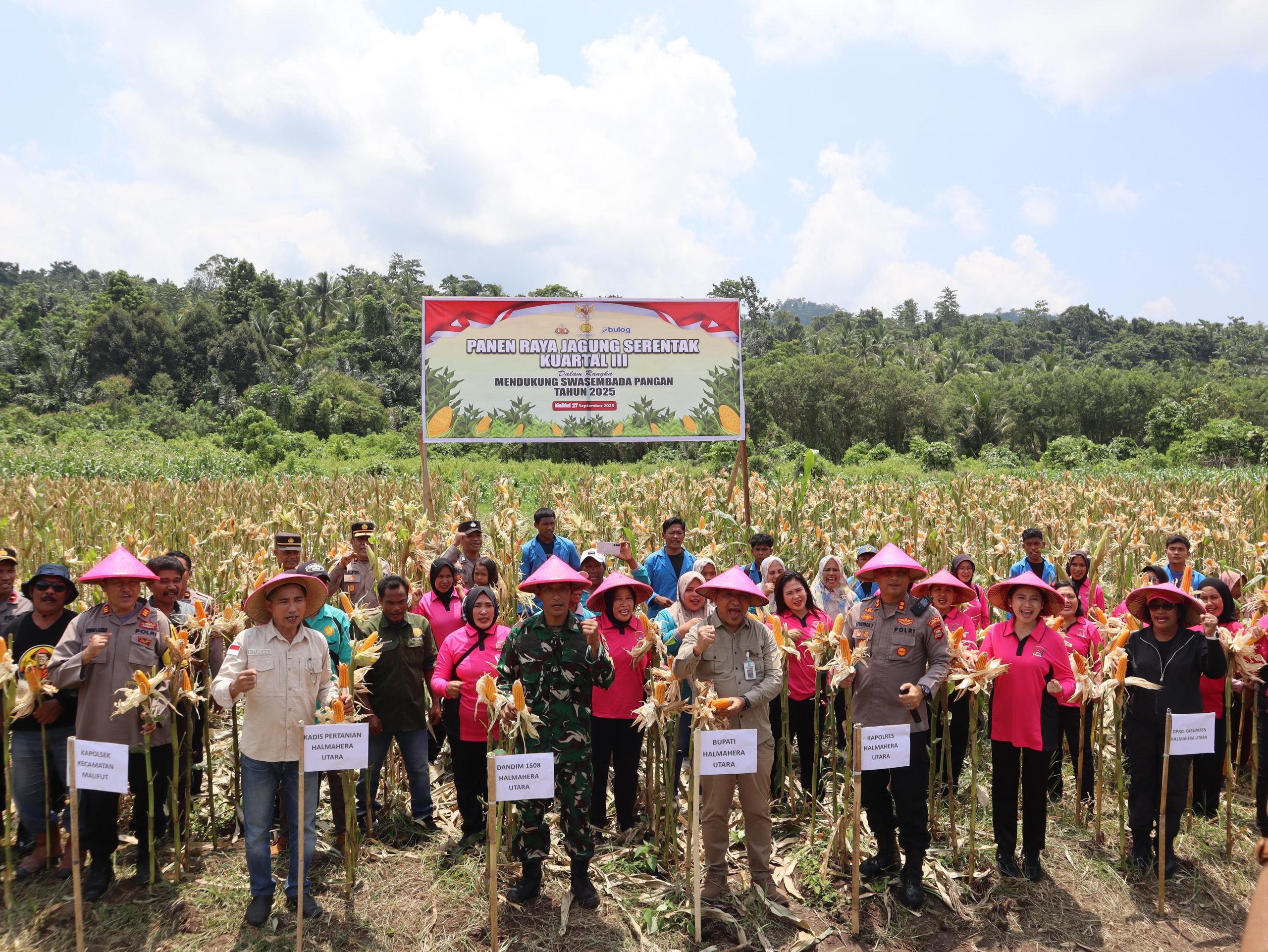 Kapolres Halut Pimpin Panen Raya Jagung Serentak, Target 180 Hektare Jadi Fokus Dukungan Swasembada Pangan Nasional