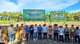 Wakil Bupati Halut, Dr. Hi. Kasman Hi. Ahmad, (tengah) hadiri penanaman perdana jagung dilahan Pemuda Muhammadyah Halut. 