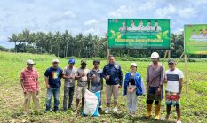Ketua KNPI Halut Serahkan Bantuan Pupuk Ke Petani Jagung, Dukung Ketahanan Pangan Lewat Aksi Nyata Pemuda