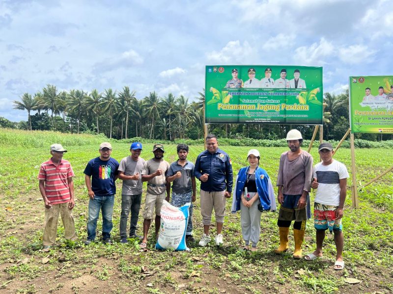 Ketua KNPI Halut, David Martin didampingi Ketua DPR Haut, Jumar Mafoloi, memberikan pupuk kepada petani binaan Pemuda Muhammadiyah.(foto/istimewa) 