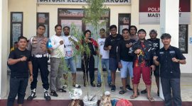 Sat Resnakoba Polres Halut mengamankan beberapa pohon ganji yang ditanam oleh pelaku dikebunnya.(foto/istimewa) 