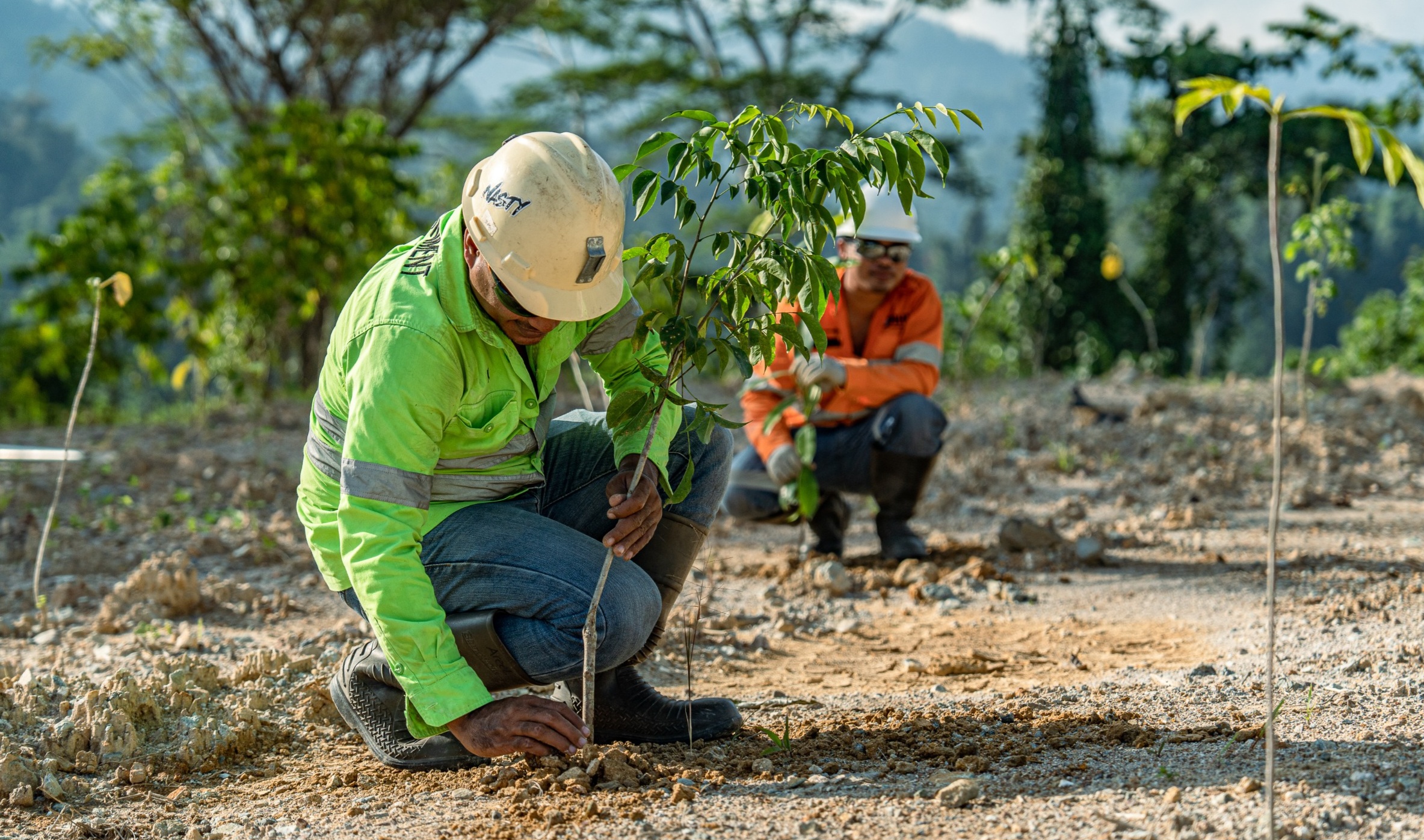 Dorong Pertambangan Berkelanjutan, NHM Rehabilitasi 232,69 Hektar Lahan