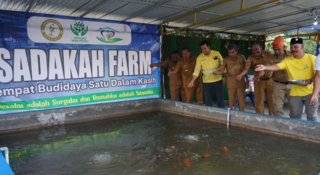 Dari Tambang Ke Tambak, NHM Bangun Fondasi Ekonomi Desa Lewat Budidaya lkan Nila Di Kao Barat