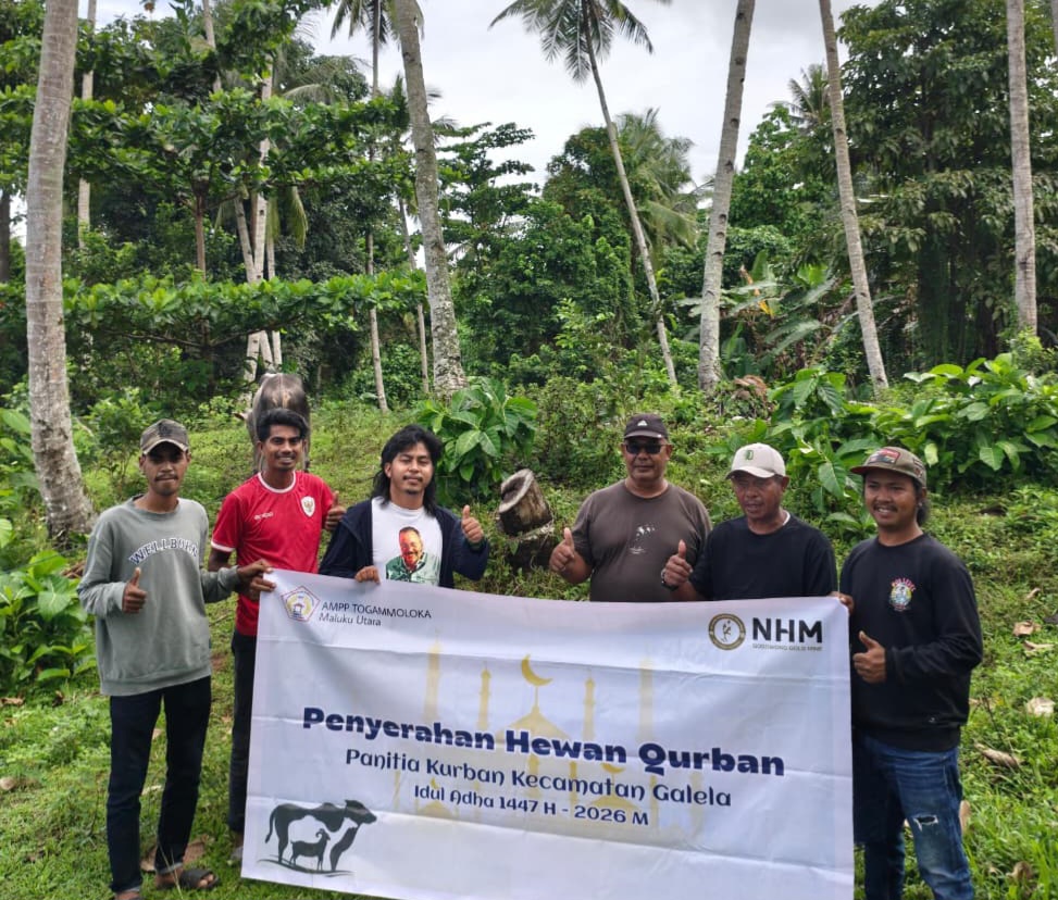 Sentuhan Idul Adha Haji Robert, NHM Bersama AMPP-TOGAMMOLOKA Bagikan Hewan Kurban Untuk Warga Halut Dan Kota Ternate