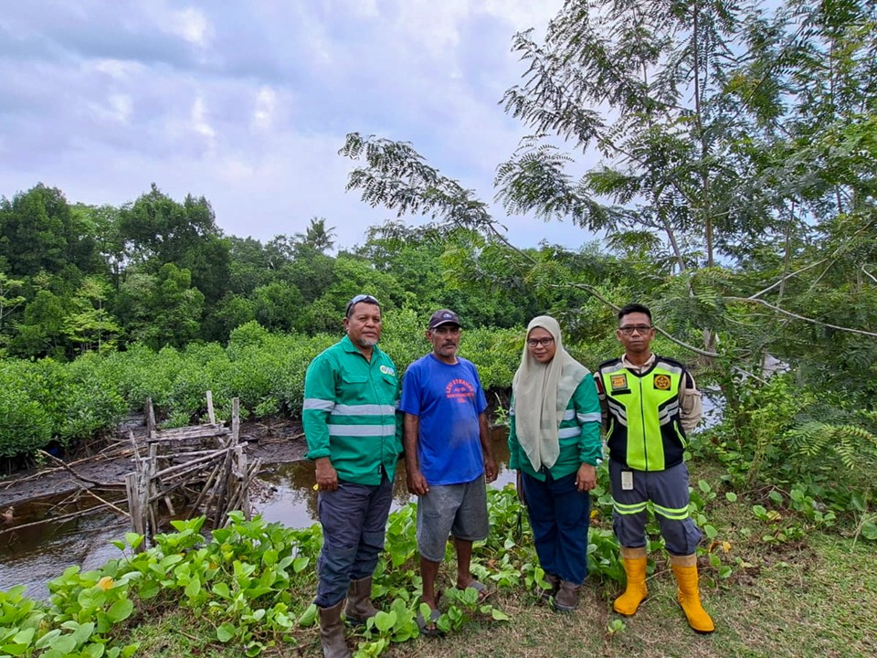 Kolaborasi NHM Dan Masyarakat Hijaukan Kembali Pesisir Di Kao Melalui Program Mangrove Berkelanjutan