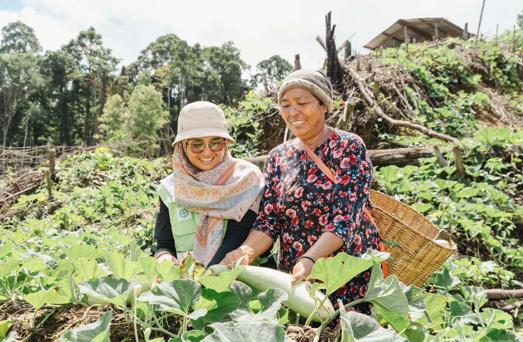 Luput dari Diskusi Publik, Perempuan di Pulau Obi Bangun Kebun Hortikultura Mandiri