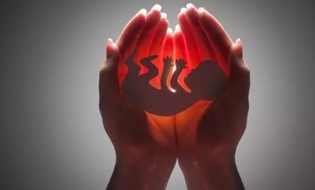 Diduga Paksa Kekasih Gugurkan Kandungan, Oknum Polisi Di Polda Malut Dilaporkan Ke Atasan