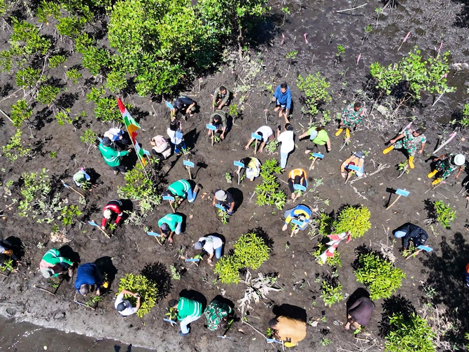 NHM Perkuat Agenda ESG Melalui Konservasi Mangrove Dan Penguatan  Ekonomi Komunitas Pesisir