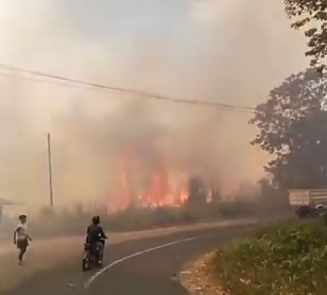 Siang Bolong Lahan PT. KSO Dilalap Api, Ancam Perkebunan Warga Di Desa Ngidiho