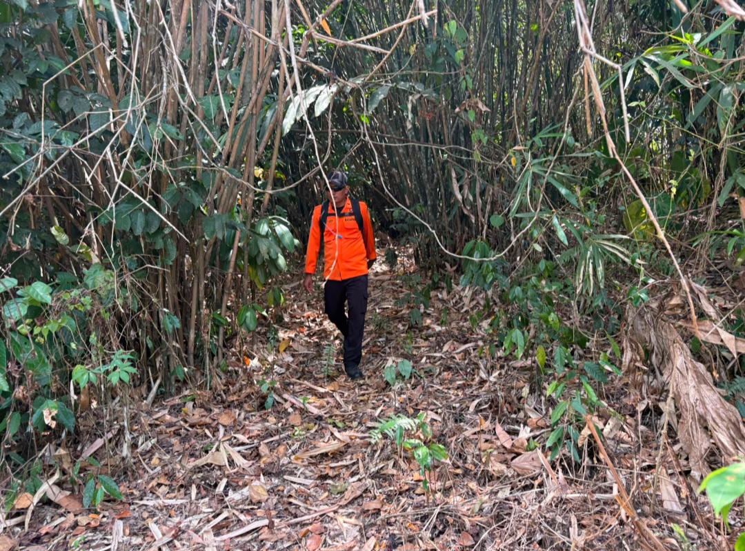 Sempat Terlihat Di Hutan, Pemuda Desa Sukamaju Malah Kabur Dan Hilang Lagi