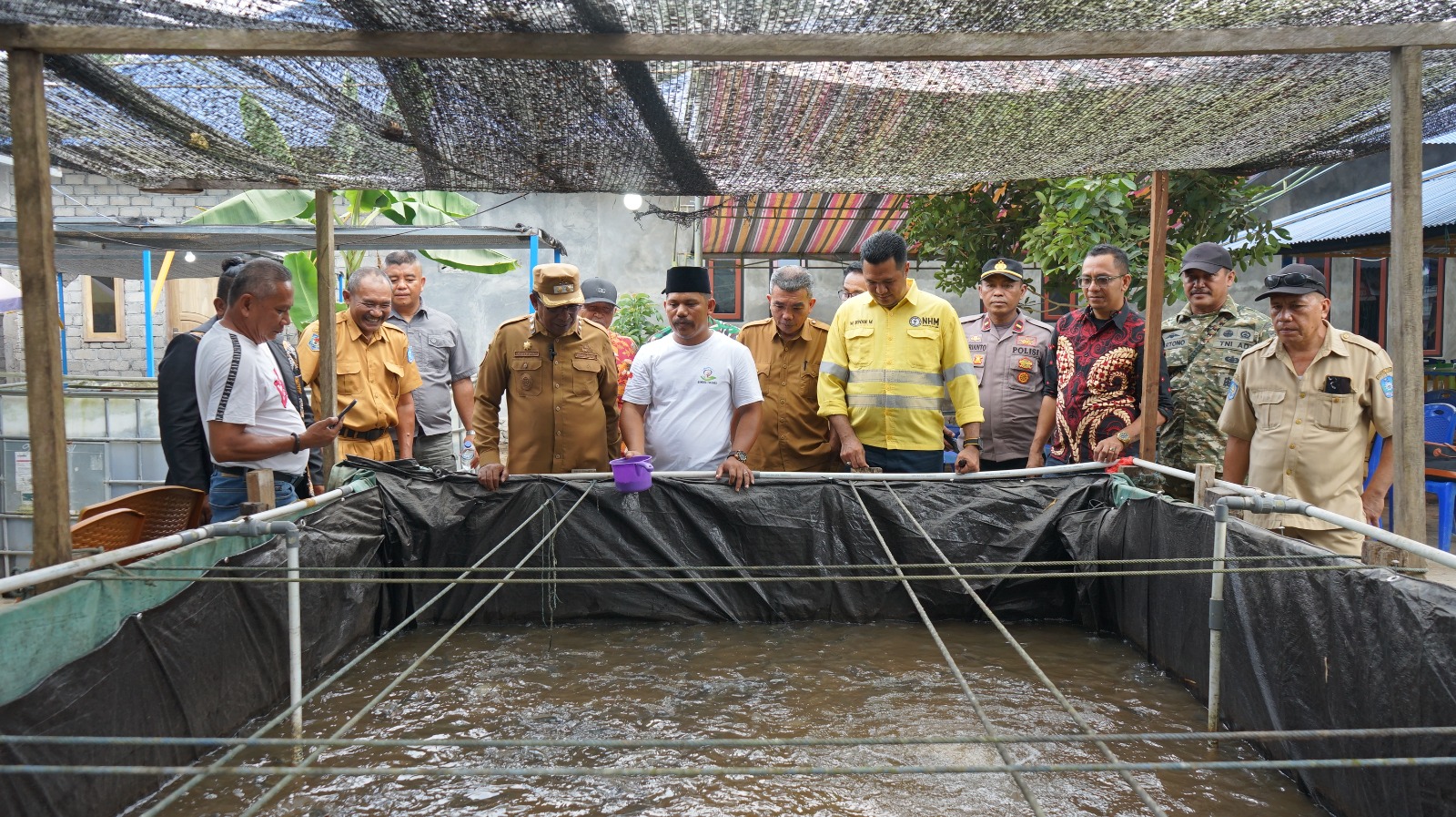Sinergi Apik Pemda Halut Dan NHM Lahirkan Panen Raya Ikan Nila, Bukti Nyata Sukses Program Pemberdayaan Desa