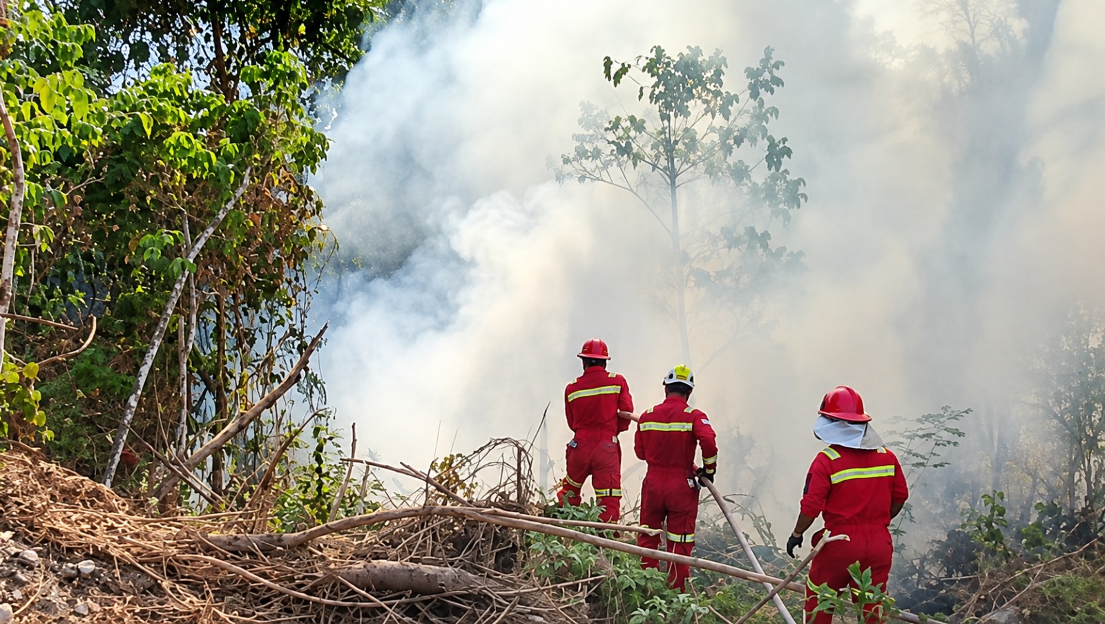 Aktifkan Emergency Management Team, NHM Perkuat Penanganan Karhutla